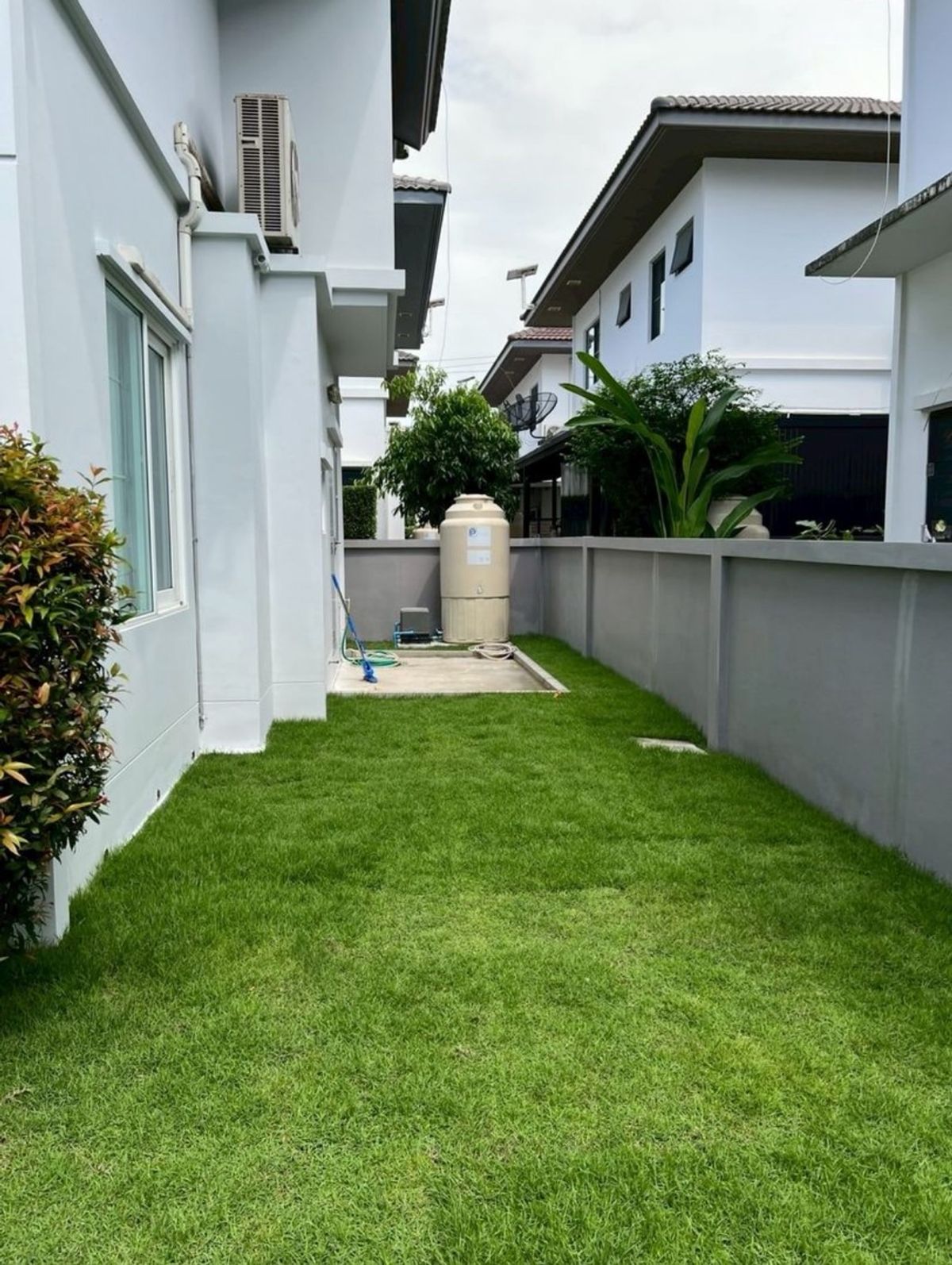 ให้เช่าบ้านลาดกระบัง สุวรรณภูมิ : ปล่อยเช่า บ้านใหม่ เฟอร์ครบ หิ้วกระเป๋าเข้าอยู่ได้ทันที  🌳🐕🐹 เลี้ยงสุนัข–แมวได้  มัณฑนา อ่อนนุช-วงแหวน 3