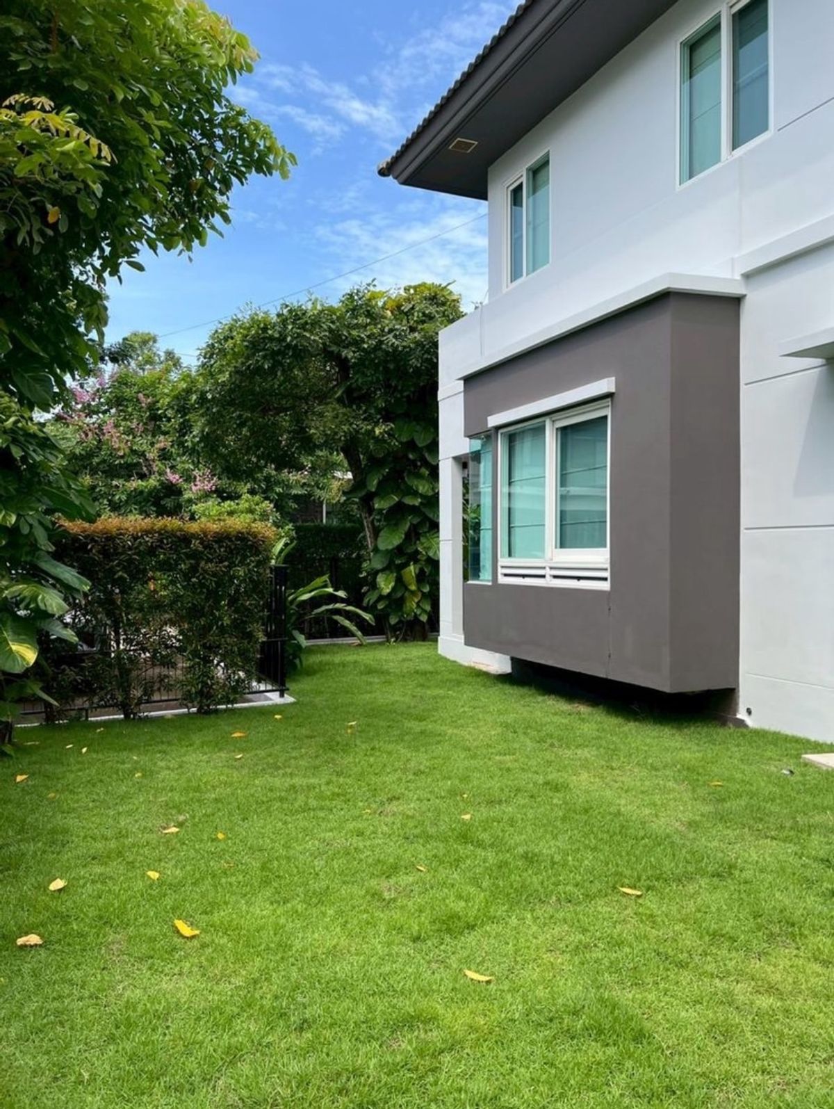 ให้เช่าบ้านลาดกระบัง สุวรรณภูมิ : ปล่อยเช่า บ้านใหม่ เฟอร์ครบ หิ้วกระเป๋าเข้าอยู่ได้ทันที  🌳🐕🐹 เลี้ยงสุนัข–แมวได้  มัณฑนา อ่อนนุช-วงแหวน 3