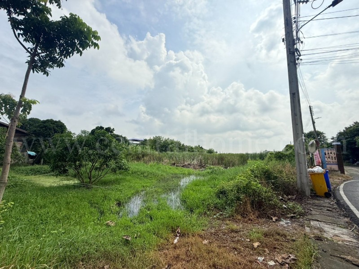 ขายที่ดินแจ้งวัฒนะ เมืองทอง : ที่ดินเปล่า 266 ตร.วา ท่าอิฐ 15 แยกตาลเดียว - วัดบางบัวทอง นนทบุรี