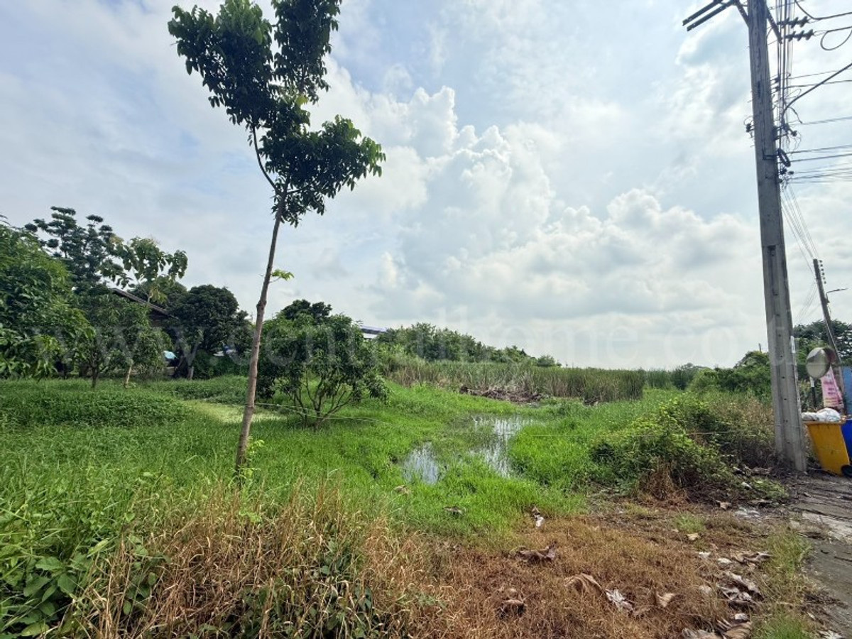 ขายที่ดินแจ้งวัฒนะ เมืองทอง : ที่ดินเปล่า 266 ตร.วา ท่าอิฐ 15 แยกตาลเดียว - วัดบางบัวทอง นนทบุรี