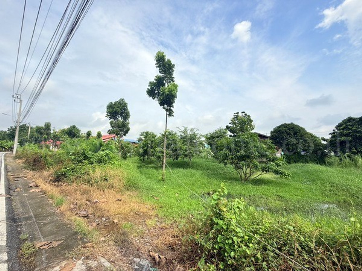 ขายที่ดินแจ้งวัฒนะ เมืองทอง : ที่ดินเปล่า 266 ตร.วา ท่าอิฐ 15 แยกตาลเดียว - วัดบางบัวทอง นนทบุรี