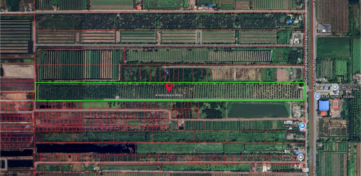 For SaleLandPathum Thani,Rangsit, Thammasat : 🔥📣 Urgent Sale! Fruit Orchard 63 Rai at Rangsit Klong 12 🌳✨