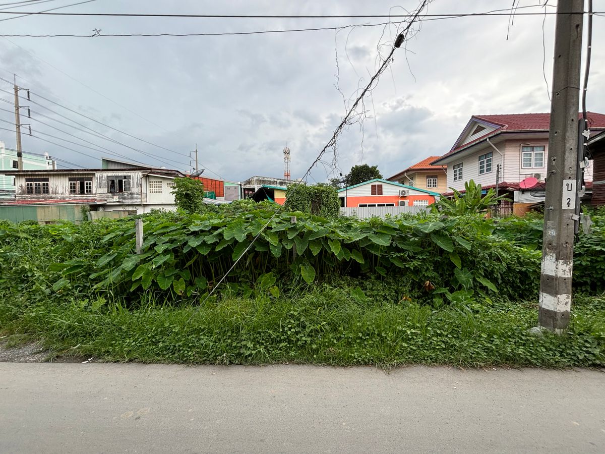 ขายที่ดินอ่อนนุช อุดมสุข : [17 กันยายน 2568] ที่ดินแปลงมุม 162 ตารางวา, อ่อนนุช 65 แยก 2, สุขุมวิท 77, กว้าง 17.5 เมตร ลึก 41 เมตร, 10,530,000.- (65,000 บาท/ตารางวา)