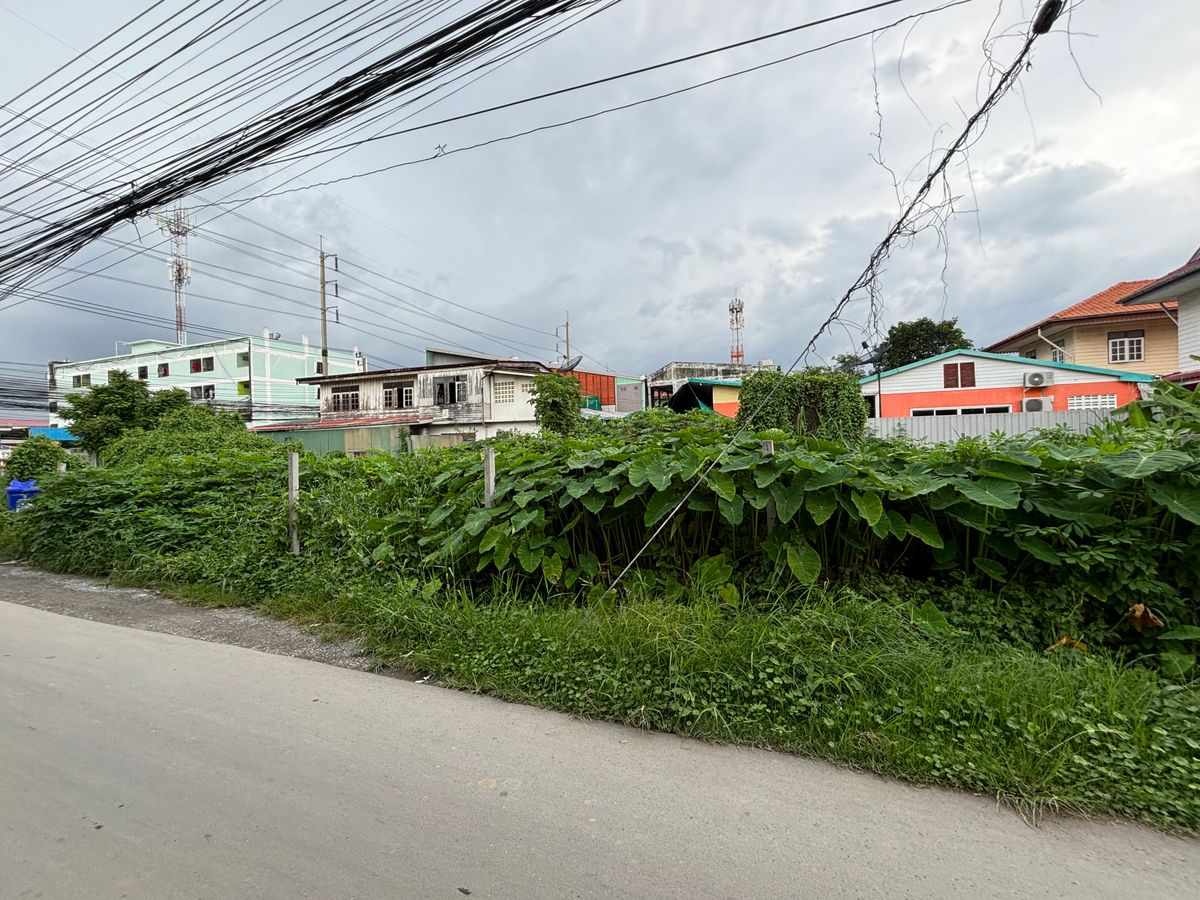 ขายที่ดินอ่อนนุช อุดมสุข : [17 กันยายน 2568] ที่ดินแปลงมุม 162 ตารางวา, อ่อนนุช 65 แยก 2, สุขุมวิท 77, กว้าง 17.5 เมตร ลึก 41 เมตร, 10,530,000.- (65,000 บาท/ตารางวา)