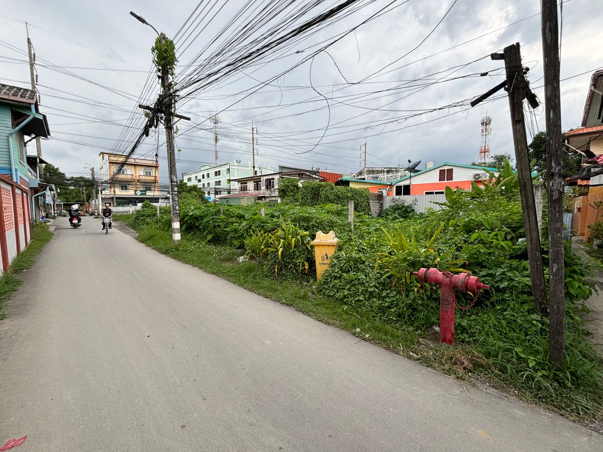 ขายที่ดินอ่อนนุช อุดมสุข : [17 กันยายน 2568] ที่ดินแปลงมุม 162 ตารางวา, อ่อนนุช 65 แยก 2, สุขุมวิท 77, กว้าง 17.5 เมตร ลึก 41 เมตร, 10,530,000.- (65,000 บาท/ตารางวา)