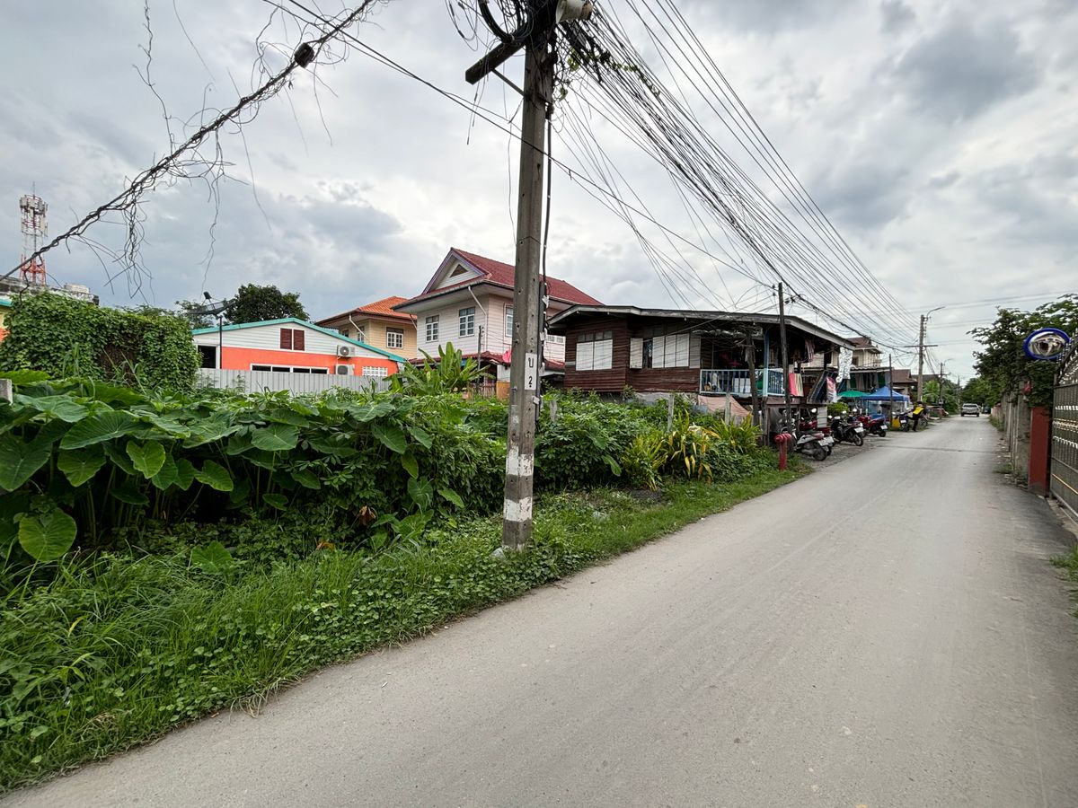 ขายที่ดินอ่อนนุช อุดมสุข : [17 กันยายน 2568] ที่ดินแปลงมุม 162 ตารางวา, อ่อนนุช 65 แยก 2, สุขุมวิท 77, กว้าง 17.5 เมตร ลึก 41 เมตร, 10,530,000.- (65,000 บาท/ตารางวา)