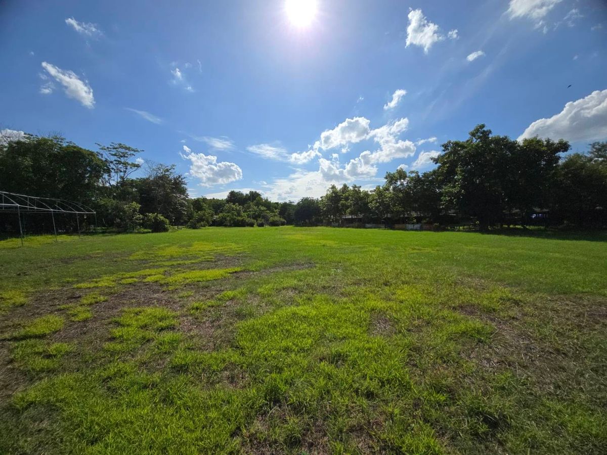 ขายที่ดินปทุมธานี รังสิต ธรรมศาสตร์ : 	ด่วน! ขายที่ดินทำเลทอง พหลโยธิน 64 เนื้อที่ 10 - 3 - 26 ไร่ ราคาพิเศษสุด!