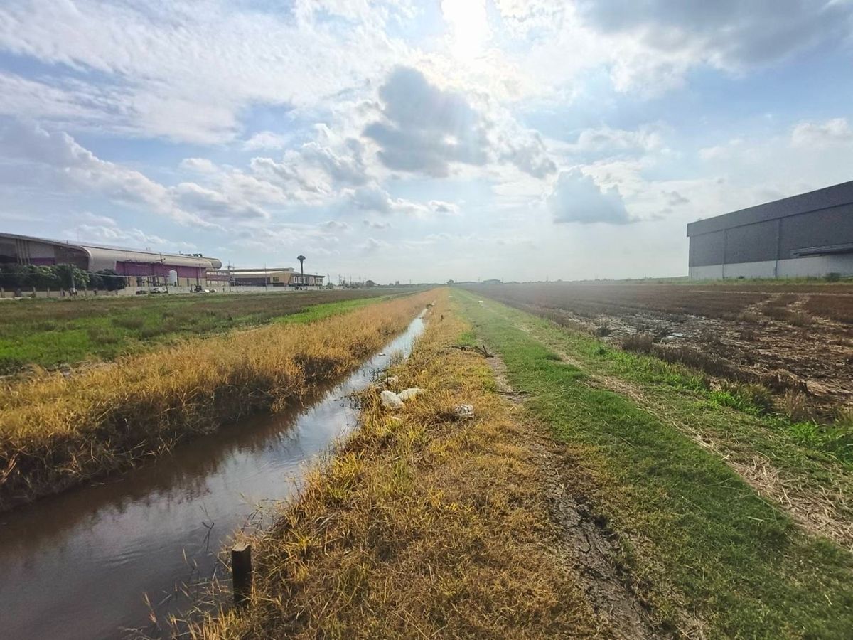 For SaleLandPathum Thani,Rangsit, Thammasat : Urgent land for sale Khlong 9-Lam Luk Ka