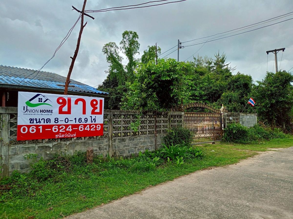ขายที่ดินอุบลราชธานี : ขายที่ดินสวยๆ ติดถนน แปลงใหญ่ 8 ไร่ จ.อุบลราชธานี
