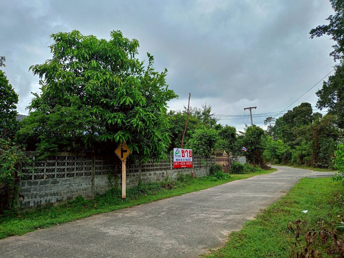 ขายที่ดินอุบลราชธานี : ขายที่ดินสวยๆ ติดถนน แปลงใหญ่ 8 ไร่ จ.อุบลราชธานี