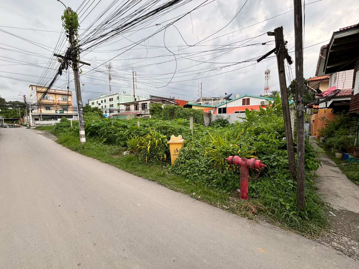 ขายที่ดินอ่อนนุช อุดมสุข : [17 กันยายน 2568] ที่ดินแปลงมุม 162 ตารางวา, อ่อนนุช 65 แยก 2, สุขุมวิท 77, กว้าง 17.5 เมตร ลึก 41 เมตร, 10,530,000.- (65,000 บาท/ตารางวา)