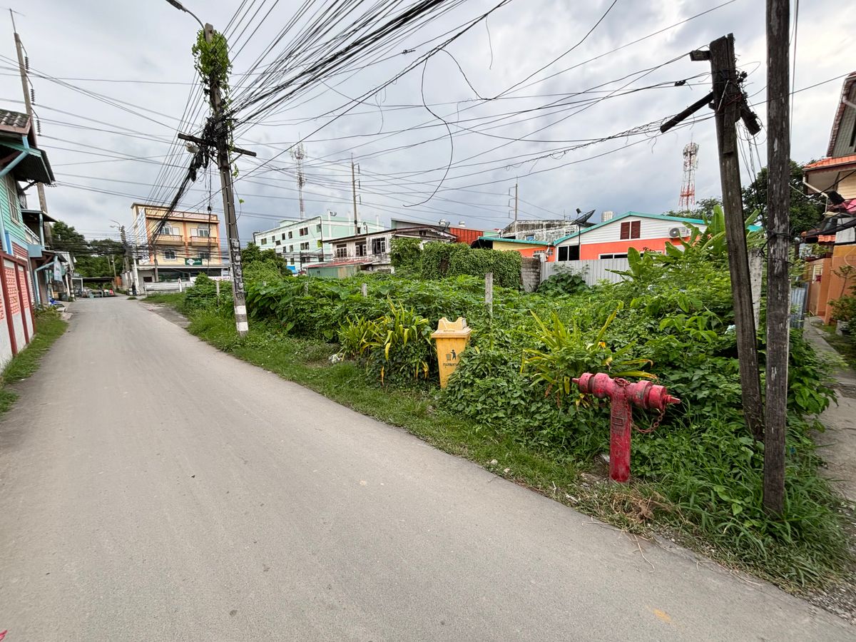 ขายที่ดินอ่อนนุช อุดมสุข : [17 กันยายน 2568] ที่ดินแปลงมุม 162 ตารางวา, อ่อนนุช 65 แยก 2, สุขุมวิท 77, กว้าง 17.5 เมตร ลึก 41 เมตร, 10,530,000.- (65,000 บาท/ตารางวา)