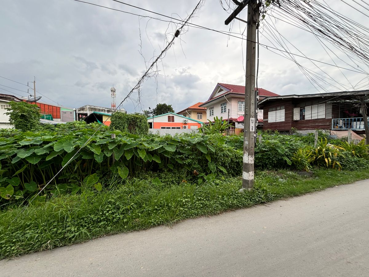 ขายที่ดินอ่อนนุช อุดมสุข : [17 กันยายน 2568] ที่ดินแปลงมุม 162 ตารางวา, อ่อนนุช 65 แยก 2, สุขุมวิท 77, กว้าง 17.5 เมตร ลึก 41 เมตร, 10,530,000.- (65,000 บาท/ตารางวา)