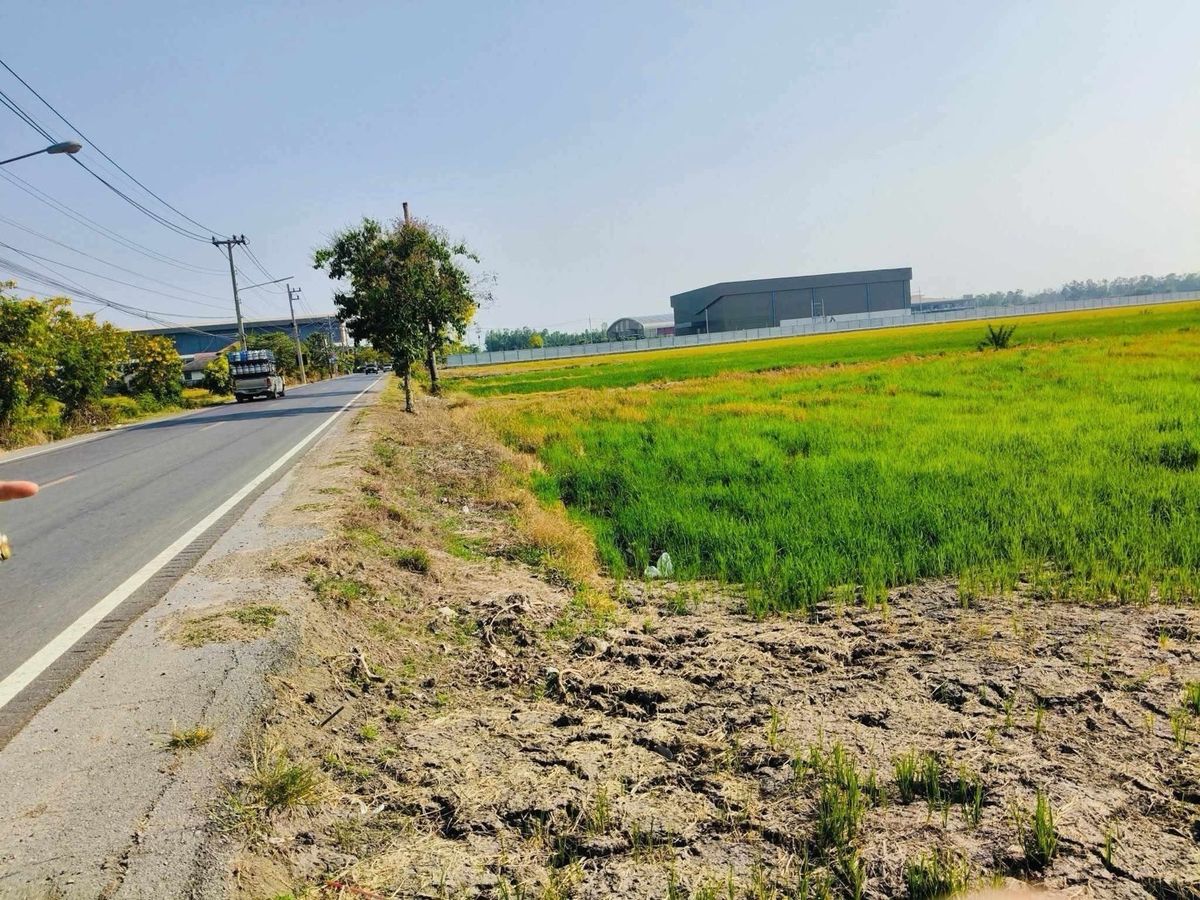ขายที่ดินปทุมธานี รังสิต ธรรมศาสตร์ : ขายที่ดิน ติดถนน