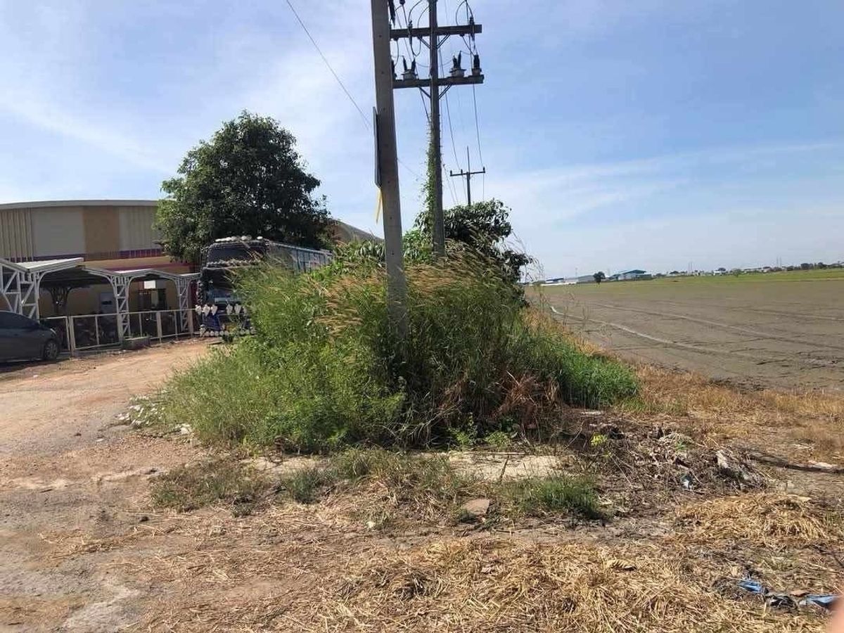 ขายที่ดินปทุมธานี รังสิต ธรรมศาสตร์ : ขายที่ดินด่วน คลอง9-ลำลูกกา