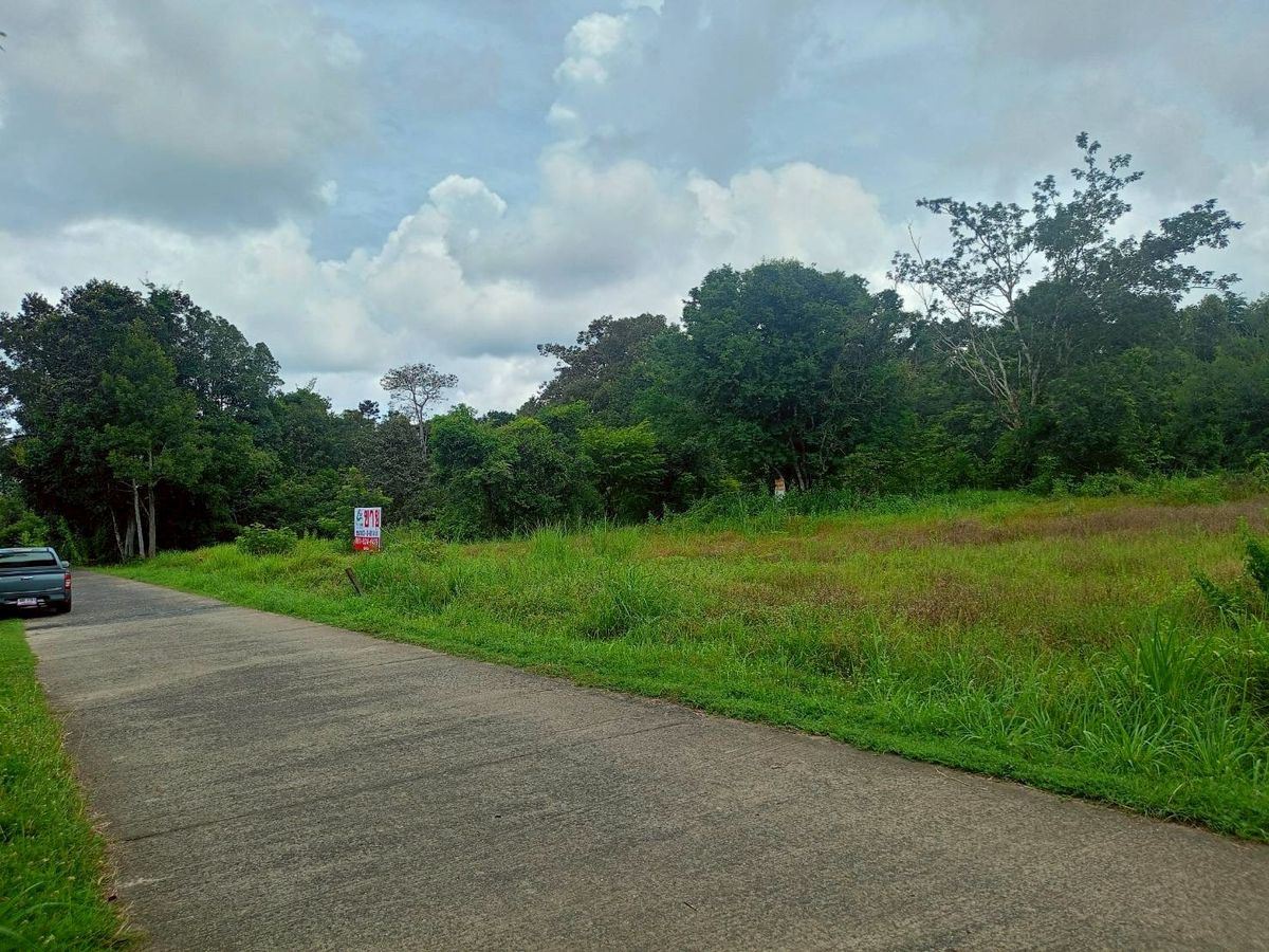 For SaleLandUbon Ratchathani : Selling beautiful empty land, size 3-3-81.4 rai (can be sold) in Khi Lek Subdistrict, Mueang Ubon District, ready to develop everything (N.1843)