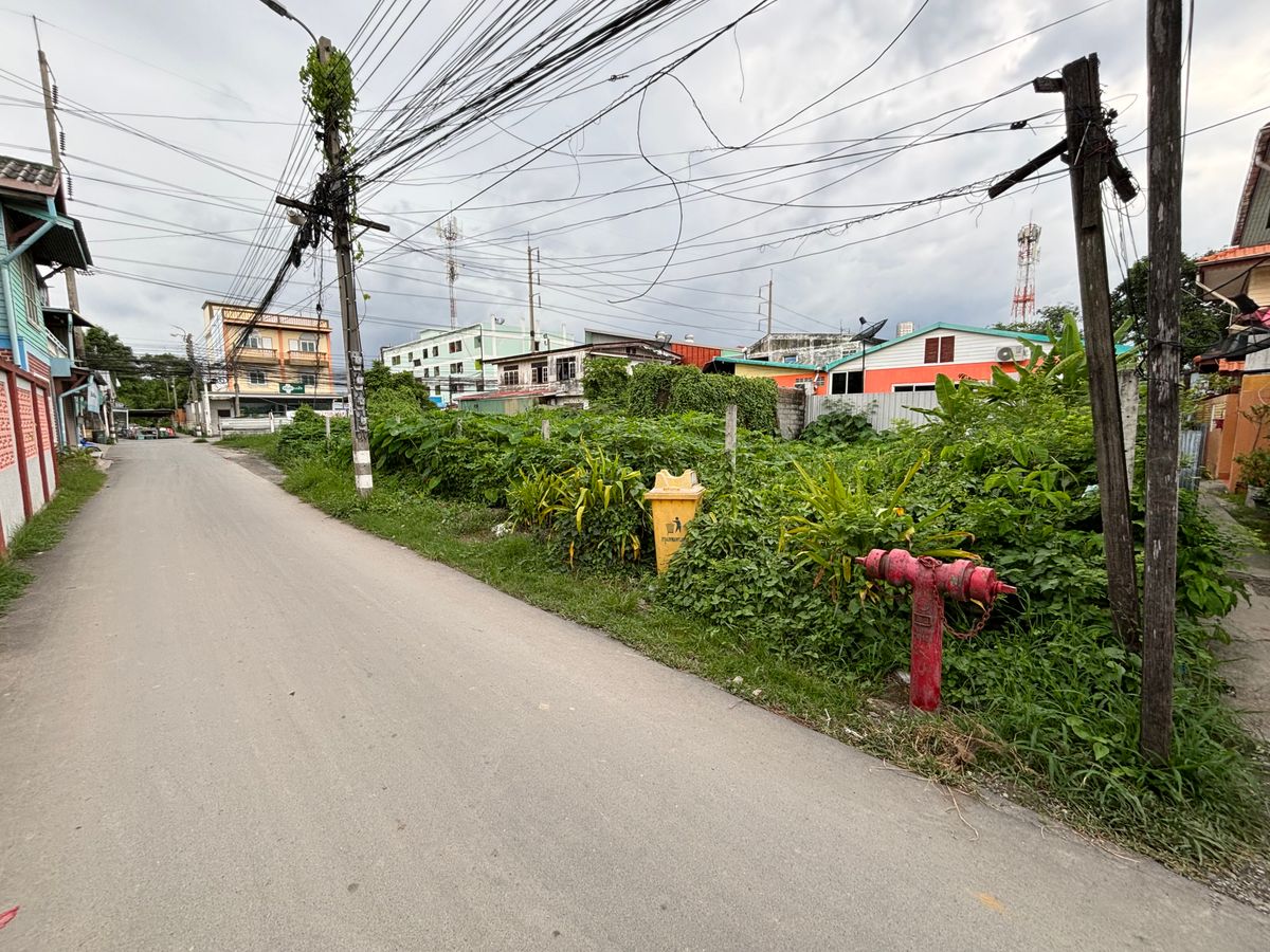 ขายที่ดินอ่อนนุช อุดมสุข : [17 กันยายน 2568] ที่ดินแปลงมุม 162 ตารางวา, อ่อนนุช 65 แยก 2, สุขุมวิท 77, กว้าง 17.5 เมตร ลึก 41 เมตร, 10,530,000.- (65,000 บาท/ตารางวา)