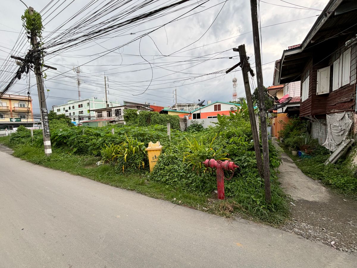 ขายที่ดินอ่อนนุช อุดมสุข : [17 กันยายน 2568] ที่ดินแปลงมุม 162 ตารางวา, อ่อนนุช 65 แยก 2, สุขุมวิท 77, กว้าง 17.5 เมตร ลึก 41 เมตร, 10,530,000.- (65,000 บาท/ตารางวา)