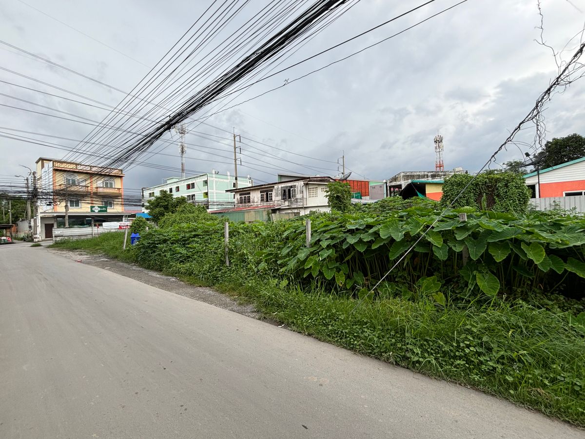 ขายที่ดินอ่อนนุช อุดมสุข : [17 กันยายน 2568] ที่ดินแปลงมุม 162 ตารางวา, อ่อนนุช 65 แยก 2, สุขุมวิท 77, กว้าง 17.5 เมตร ลึก 41 เมตร, 10,530,000.- (65,000 บาท/ตารางวา)