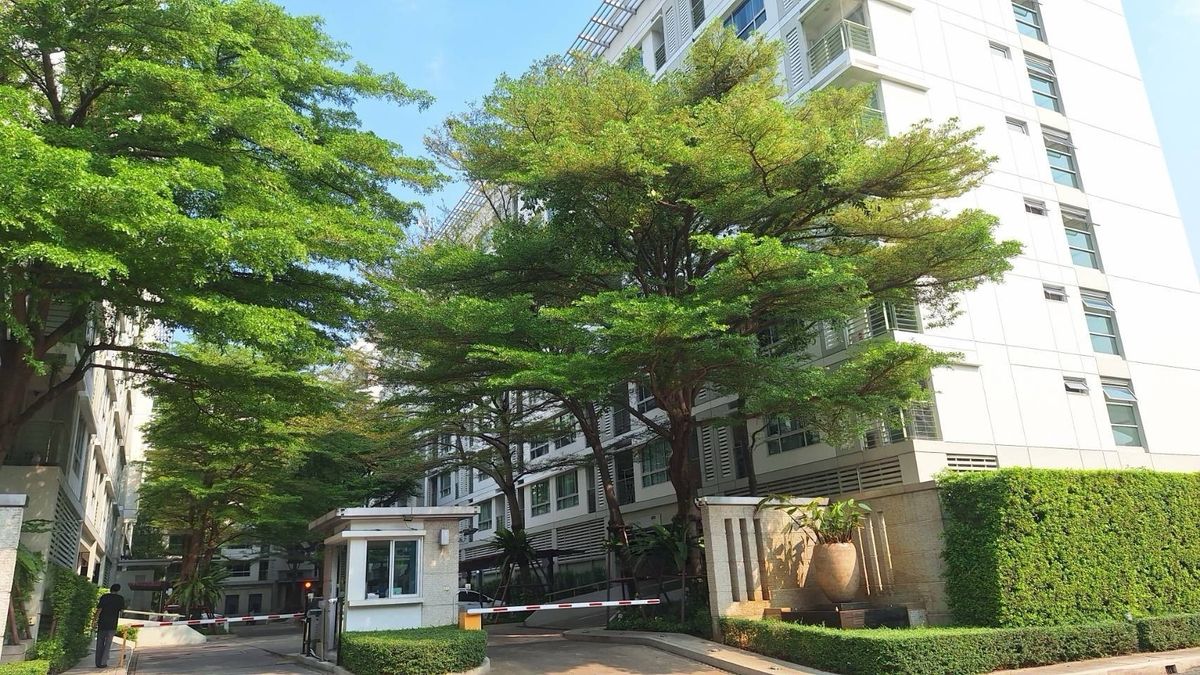 ให้เช่าคอนโดอ่อนนุช อุดมสุข : คอนโดให้เช่า The Room สุขุมวิท 79 🌿 ใกล้ BTS อ่อนนุช เดินเพียง 5 นาที เฟอร์ครบ พร้อมอยู่