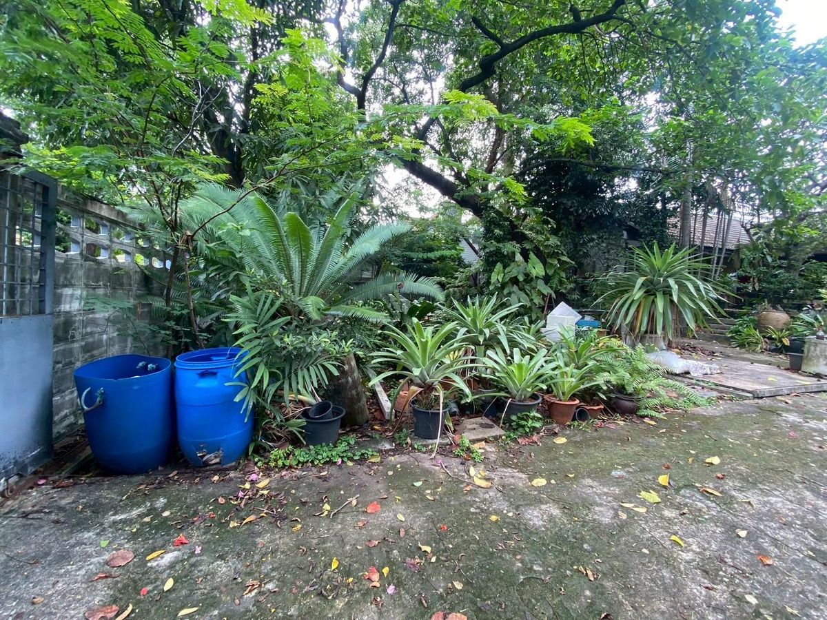 ขายที่ดินนนทบุรี บางใหญ่ บางบัวทอง : ขายบ้านพร้อมที่ดิน ในซอยติวานนท์18 เนื้อที่ 219 ตารางวา ทำเลดี เหมาะแก่การพักอาศัย