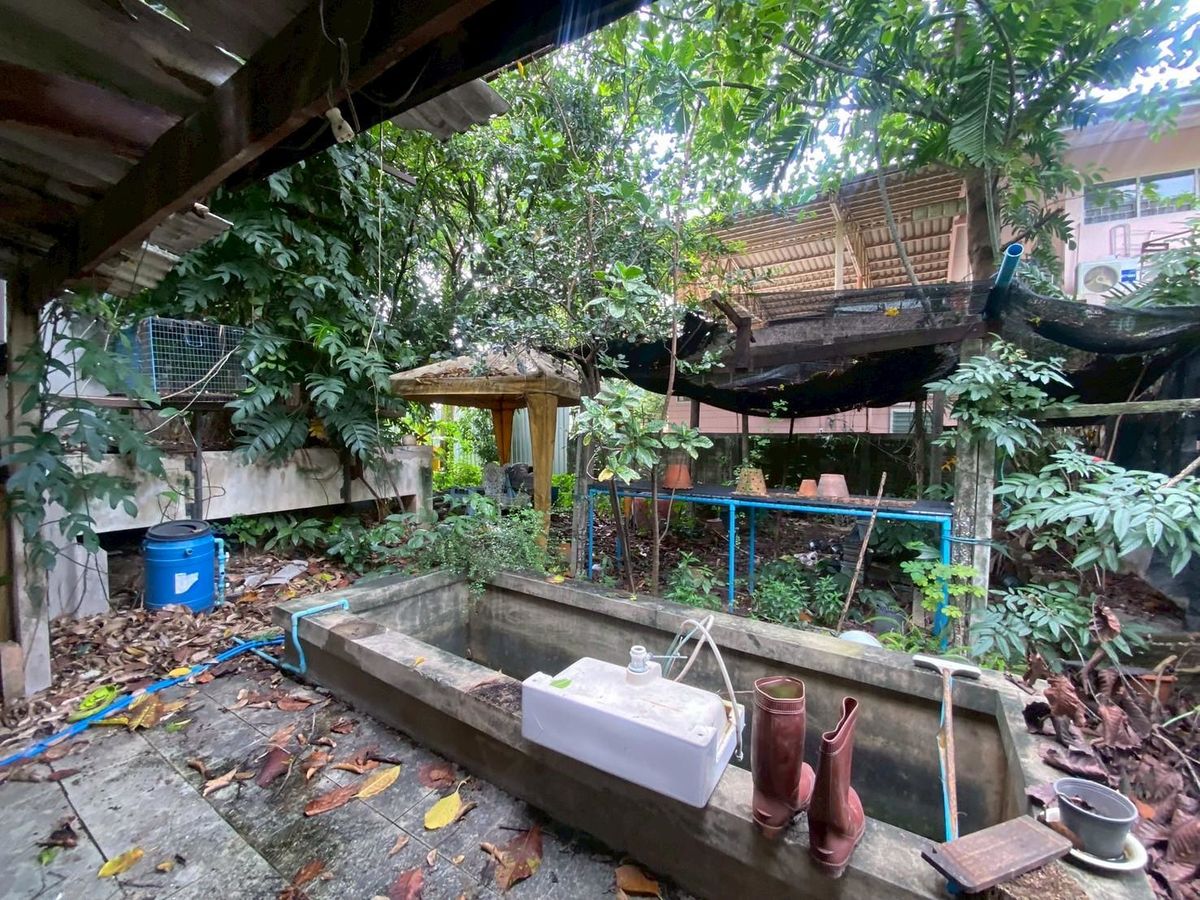 ขายที่ดินนนทบุรี บางใหญ่ บางบัวทอง : ขายบ้านพร้อมที่ดิน ในซอยติวานนท์18 เนื้อที่ 219 ตารางวา ทำเลดี เหมาะแก่การพักอาศัย