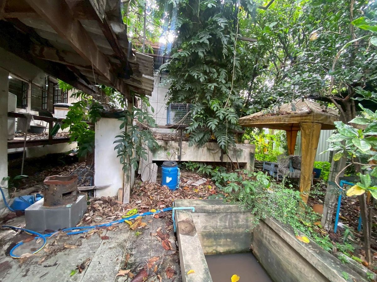 ขายที่ดินนนทบุรี บางใหญ่ บางบัวทอง : ขายบ้านพร้อมที่ดิน ในซอยติวานนท์18 เนื้อที่ 219 ตารางวา ทำเลดี เหมาะแก่การพักอาศัย