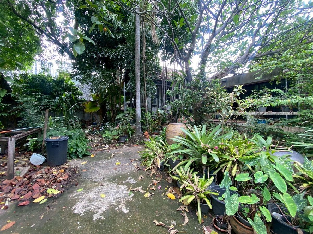 ขายที่ดินนนทบุรี บางใหญ่ บางบัวทอง : ขายบ้านพร้อมที่ดิน ในซอยติวานนท์18 เนื้อที่ 219 ตารางวา ทำเลดี เหมาะแก่การพักอาศัย