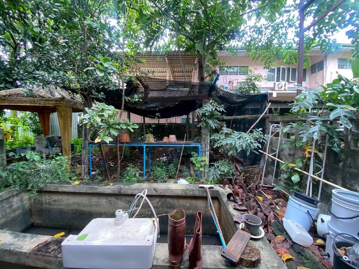 ขายที่ดินนนทบุรี บางใหญ่ บางบัวทอง : ขายบ้านพร้อมที่ดิน ในซอยติวานนท์18 เนื้อที่ 219 ตารางวา ทำเลดี เหมาะแก่การพักอาศัย