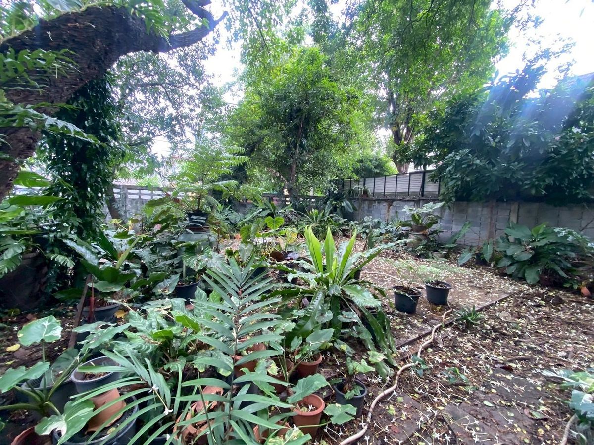 ขายที่ดินนนทบุรี บางใหญ่ บางบัวทอง : ขายบ้านพร้อมที่ดิน ในซอยติวานนท์18 เนื้อที่ 219 ตารางวา ทำเลดี เหมาะแก่การพักอาศัย