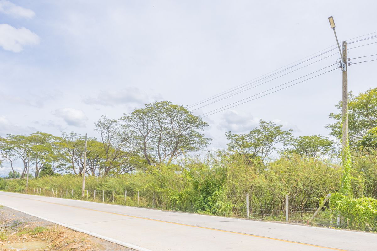 ขายที่ดินเชียงใหม่ : 📣 (ขาย) ที่ดินเปล่า ติดถนน 2 ด้าน มีน้ำและไฟฟ้าพร้อม ⛰️