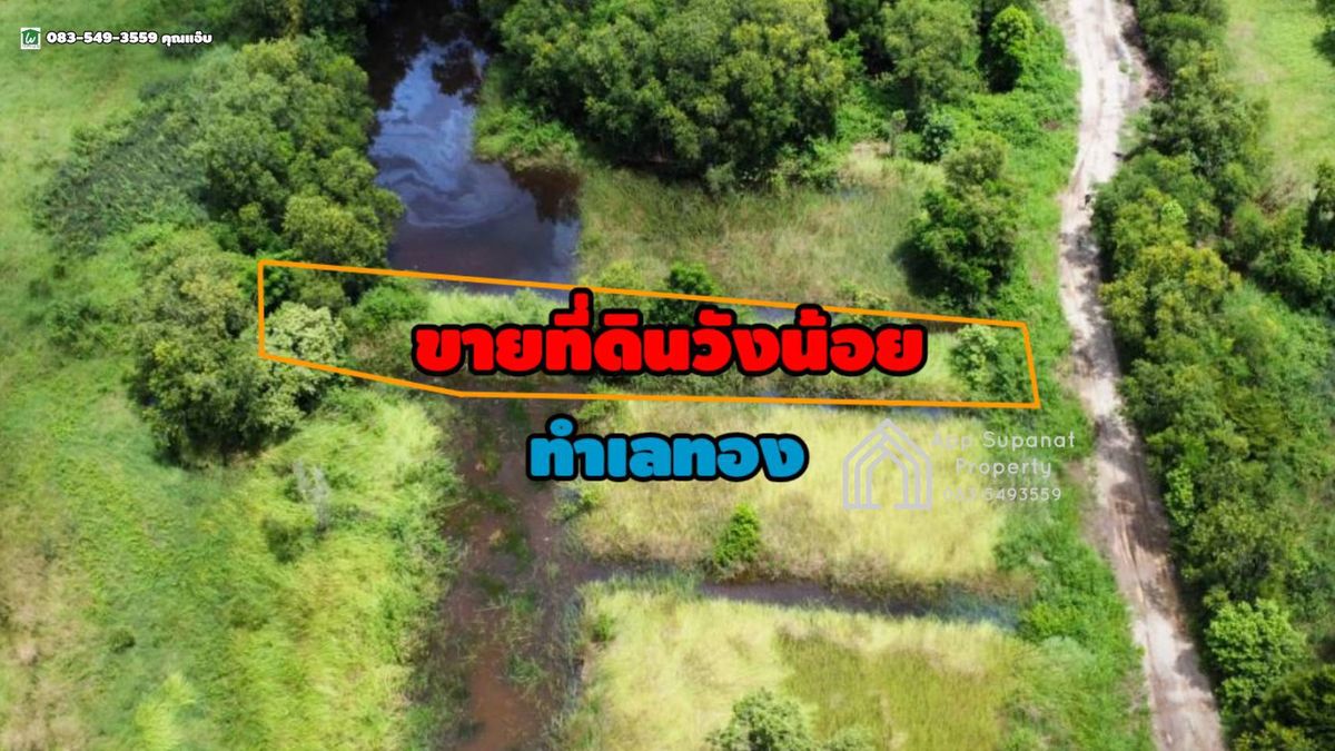 ขายที่ดินอยุธยา :  FB LINE  Email ขายที่ดิน เนื้อที่ 200ตร.ว. ต.ลำตาเสา อ.วังน้อย จ.พระนครศรีอยุธยา