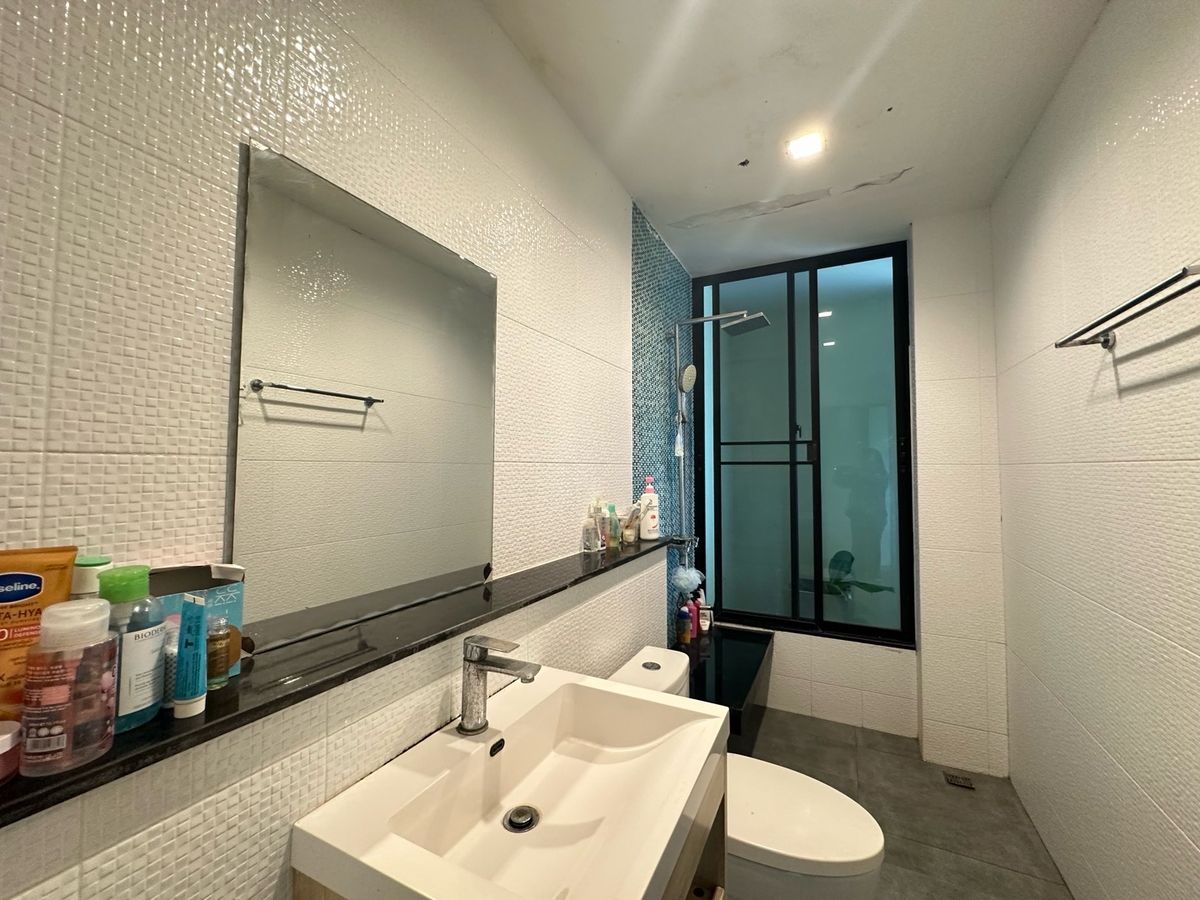 For SaleFactoryCha-am Phetchaburi : Ban Nok Nang Bank Business Ban Bang Tabun Bird Farming Center, Phetchaburi Province  Ready to keep the produce fully The purchase price is very good. Or transform by yourself  Answer the long -term investor. 🕊️