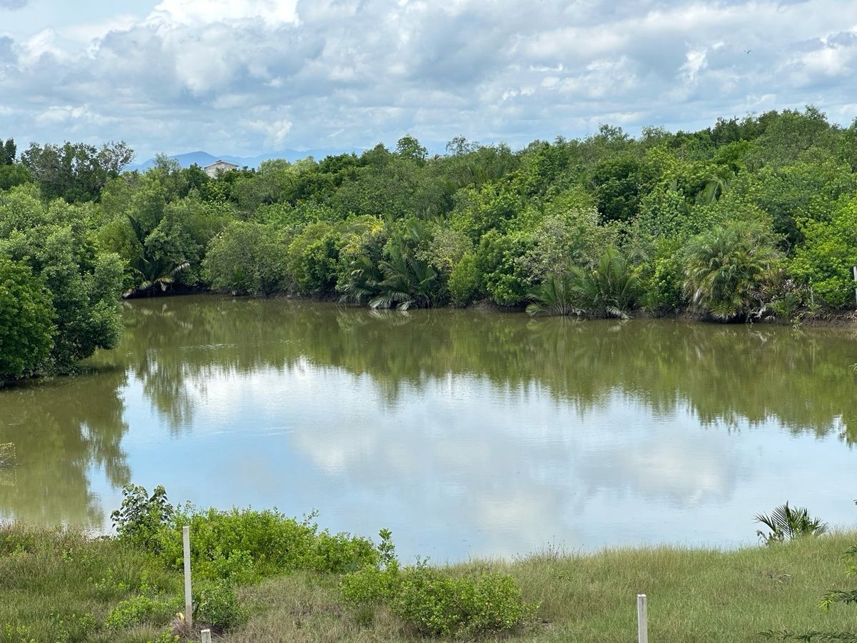For SaleFactoryCha-am Phetchaburi : Ban Nok Nang Bank Business Ban Bang Tabun Bird Farming Center, Phetchaburi Province  Ready to keep the produce fully The purchase price is very good. Or transform by yourself  Answer the long -term investor. 🕊️
