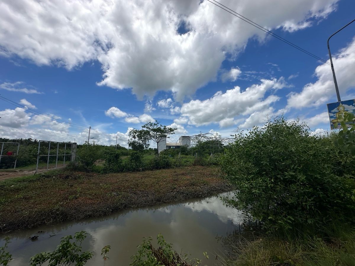 For SaleFactoryCha-am Phetchaburi : Ban Nok Nang Bank Business Ban Bang Tabun Bird Farming Center, Phetchaburi Province  Ready to keep the produce fully The purchase price is very good. Or transform by yourself  Answer the long -term investor. 🕊️