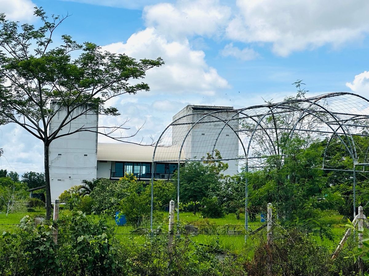 For SaleFactoryCha-am Phetchaburi : Ban Nok Nang Bank Business Ban Bang Tabun Bird Farming Center, Phetchaburi Province  Ready to keep the produce fully The purchase price is very good. Or transform by yourself  Answer the long -term investor. 🕊️