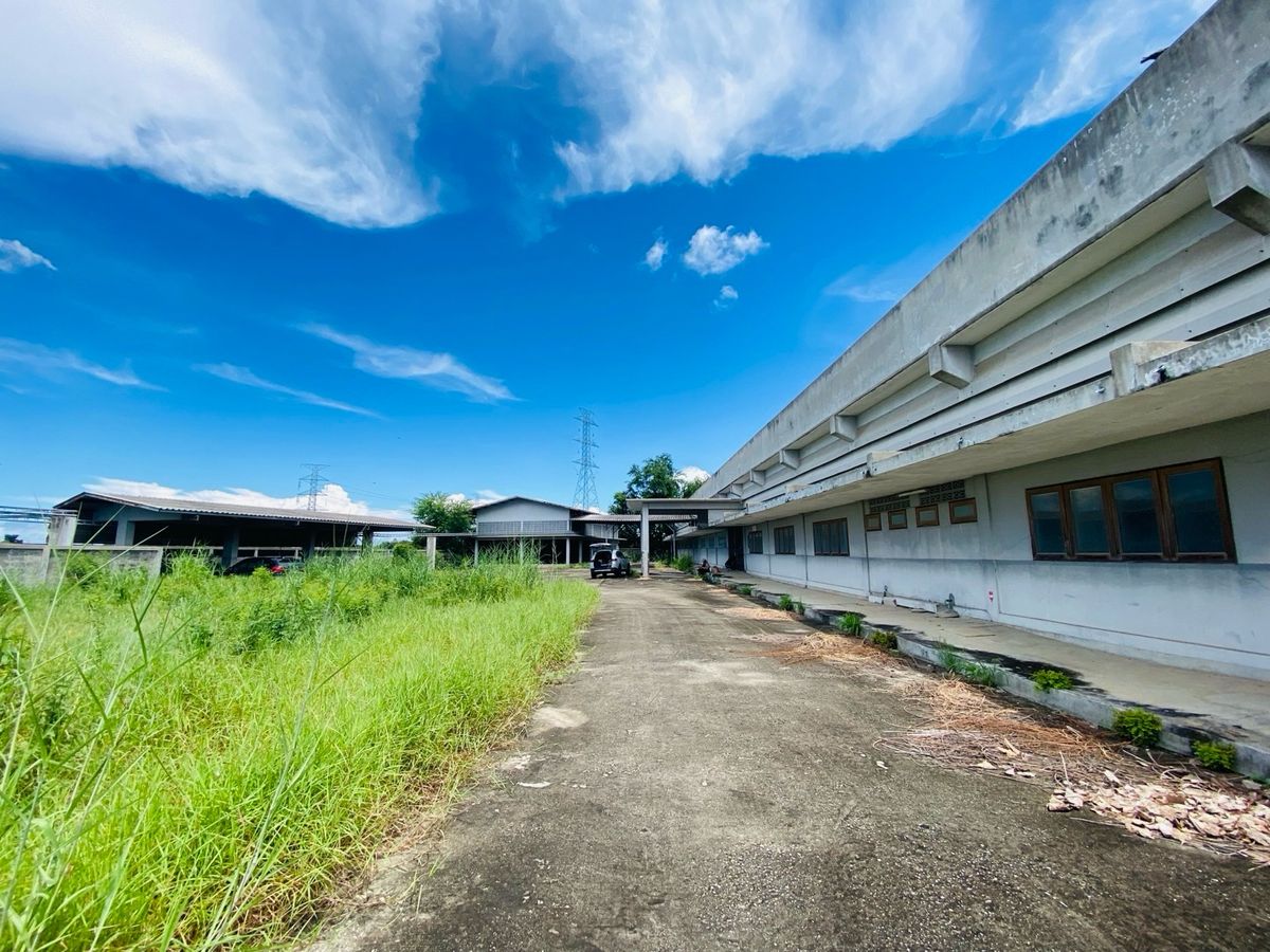 ขายที่ดินอยุธยา : ขายที่ดิน + โกดัง + หอพัก + โรงอาหาร ครบจบในที่เดียว บนทำเลทอง อำเภอเสนา จ.อยุธยา ติดถนนหลัก พื้นที่รวมกว่า 25 ไร่ พัฒนาได้ต่อทันที!