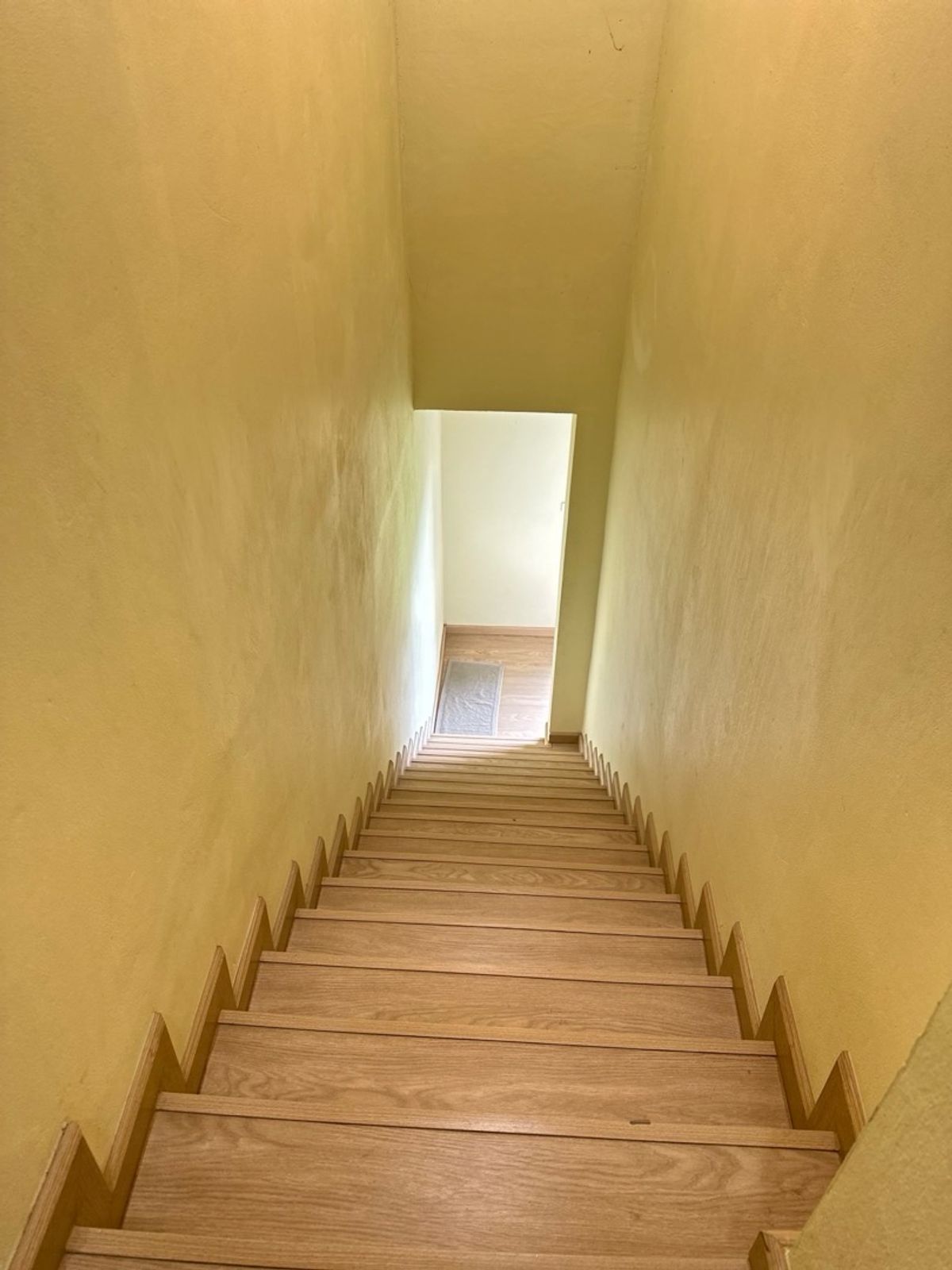 For SaleFactoryCha-am Phetchaburi : Ban Nok Nang Bank Business Ban Bang Tabun Bird Farming Center, Phetchaburi Province  Ready to keep the produce fully The purchase price is very good. Or transform by yourself  Answer the long -term investor. 🕊️