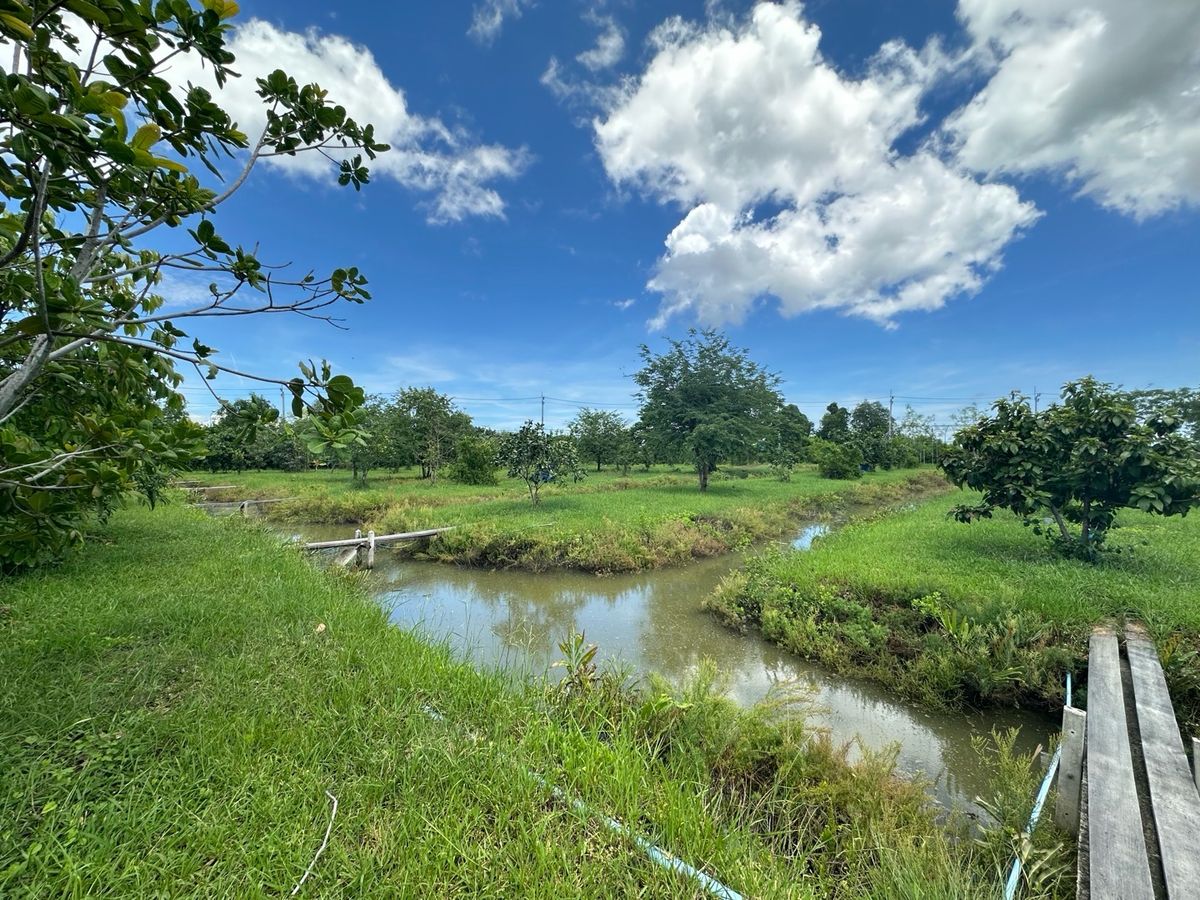For SaleFactoryCha-am Phetchaburi : Ban Nok Nang Bank Business Ban Bang Tabun Bird Farming Center, Phetchaburi Province  Ready to keep the produce fully The purchase price is very good. Or transform by yourself  Answer the long -term investor. 🕊️