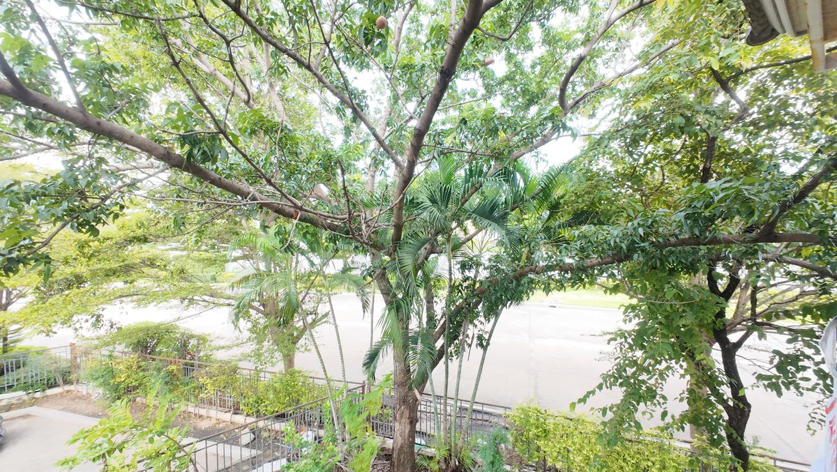 ขายบ้านพระราม 2 บางขุนเทียน : เดอะแกรนด์ พระราม2 โซนซีน “พื้นที่ใหญ่ เพื่อรอยยิ้มและเสียงหัวเราะของครอบครัว”