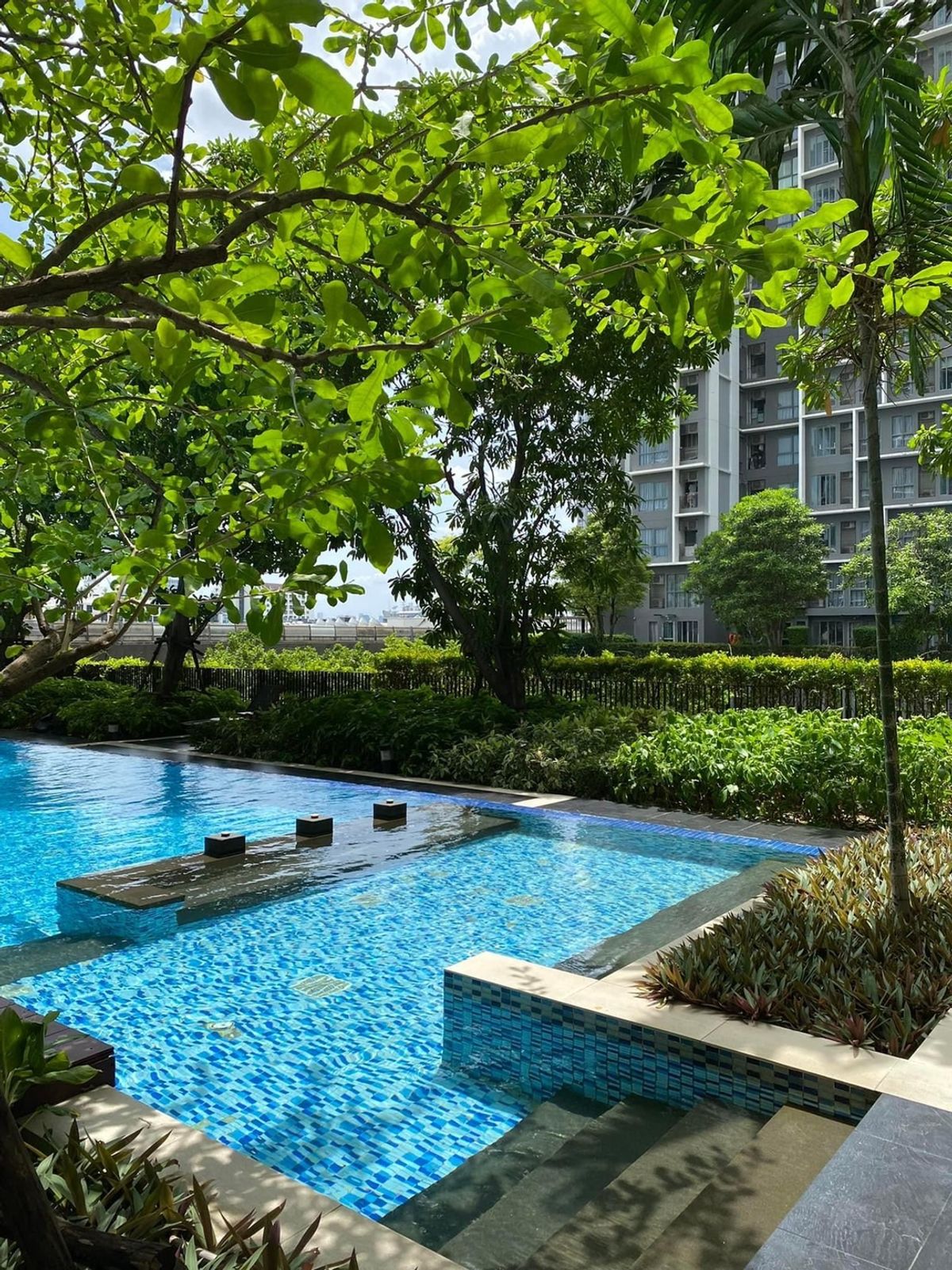 For RentCondoOnnut, Udomsuk : 💥DL-2104💥IDEO Mobi Sukhumvit 81 👉Line : @wincondo