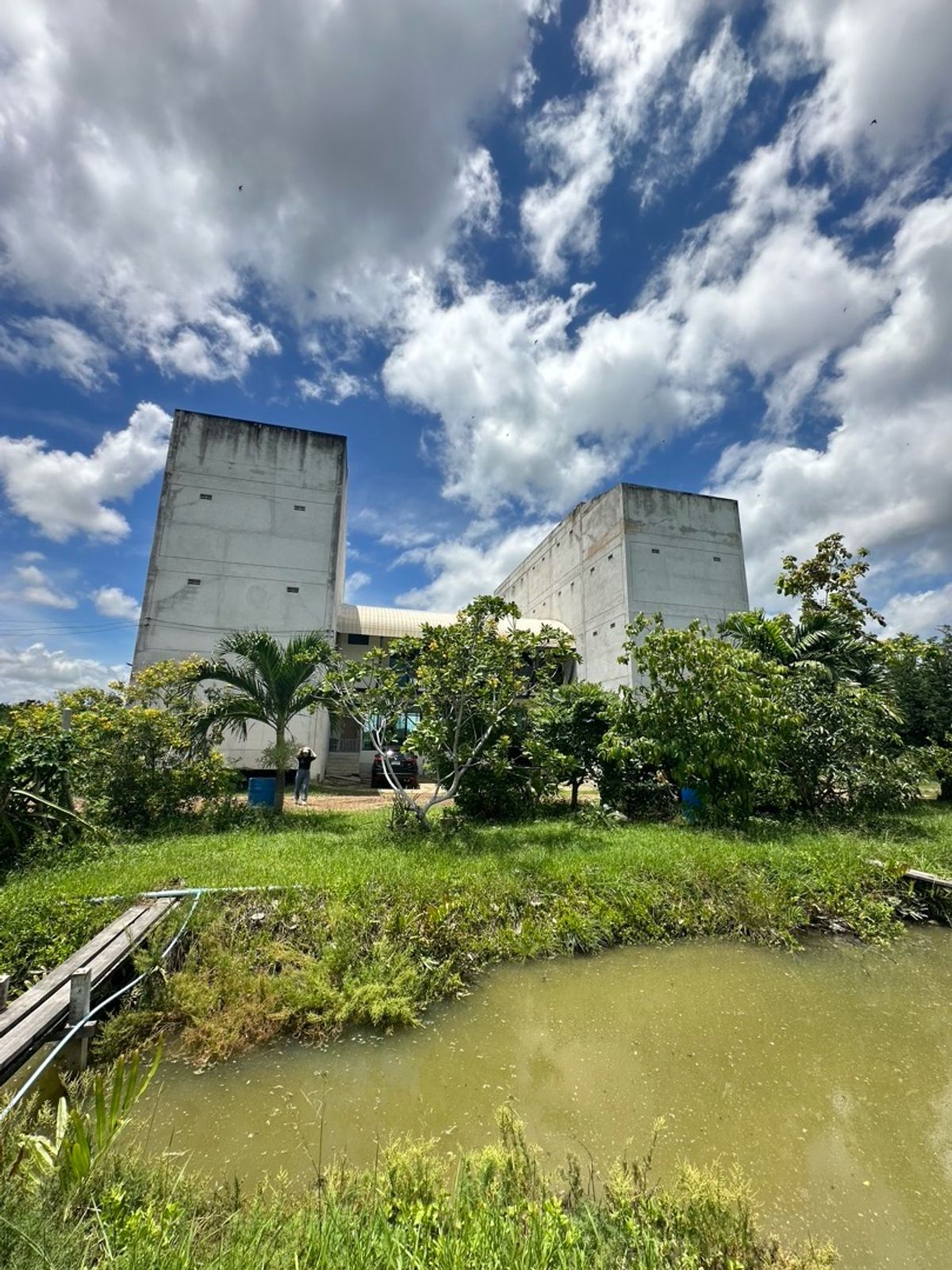 For SaleFactoryCha-am Phetchaburi : Ban Nok Nang Bank Business Ban Bang Tabun Bird Farming Center, Phetchaburi Province  Ready to keep the produce fully The purchase price is very good. Or transform by yourself  Answer the long -term investor. 🕊️