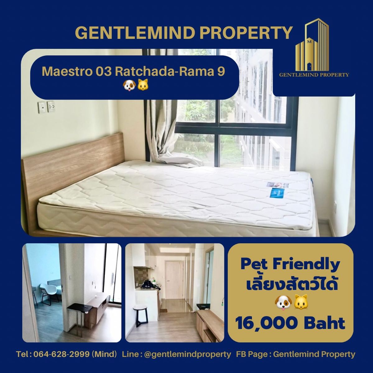 ให้เช่าคอนโดพระราม 9 เพชรบุรีตัดใหม่ RCA : ☀️💎🌍 Rent : Maestro 03 Ratchada-Rama 9 Pet Friendly เลี้ยงสัตว์ได้ 🐶🐱 | Gentlemind Property