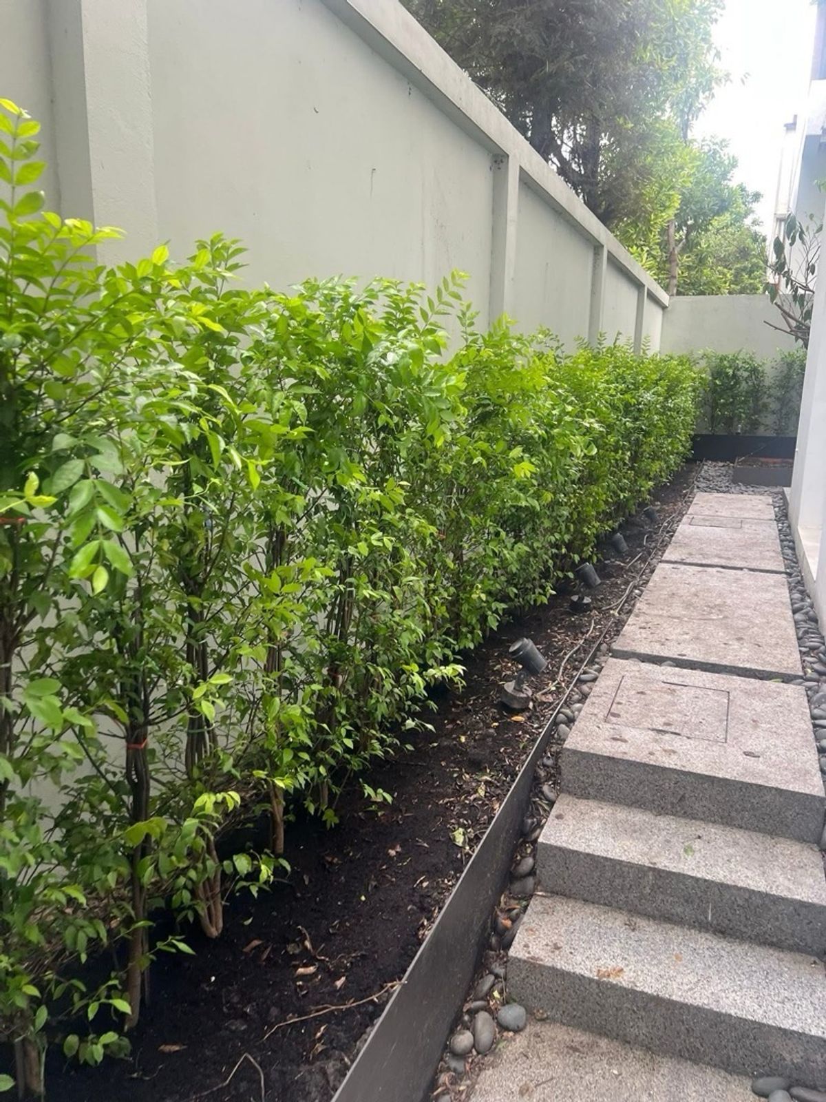 ทาวน์โฮมมีนบุรี-ร่มเกล้า : ขาย Home office 3.5 ชั้น โครงการ Dhepa Ramkhamhaeng 118 ขนาด 295 Sq.m 3 bed 4 bath เพียง 17.9 MB (Rent 95,000)