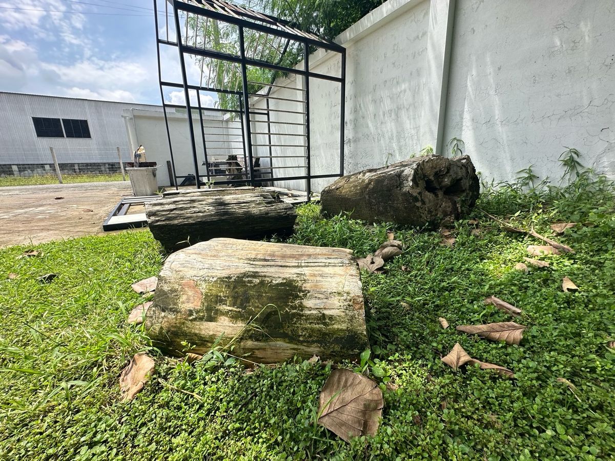 ขายที่ดินเกษตร นวมินทร์ ลาดปลาเค้า : ขานที่ดินขนาด 300 ตาราวา ทำเลซอยนวลจันทร์ 56 รามอินทรา ประดิษฐ์มนูธรรม เหมาะสำหรับทำออฟฟิศหรือที่อยู่อาศัยสถานที่จัดเลี้ยง สถานที่พร้อมใช้