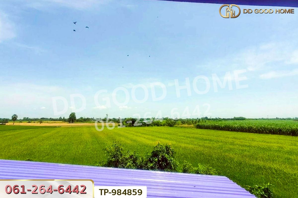 ขายที่ดินสุพรรณบุรี : DD-984859 ที่ดินพร้อมสิ่งปลูกสร้าง 1 ไร่ 60 ตร.ว. ศรีประจันต์ สุพรรณบุรี ใกล้โรงพยาบาลศรีประจันต์