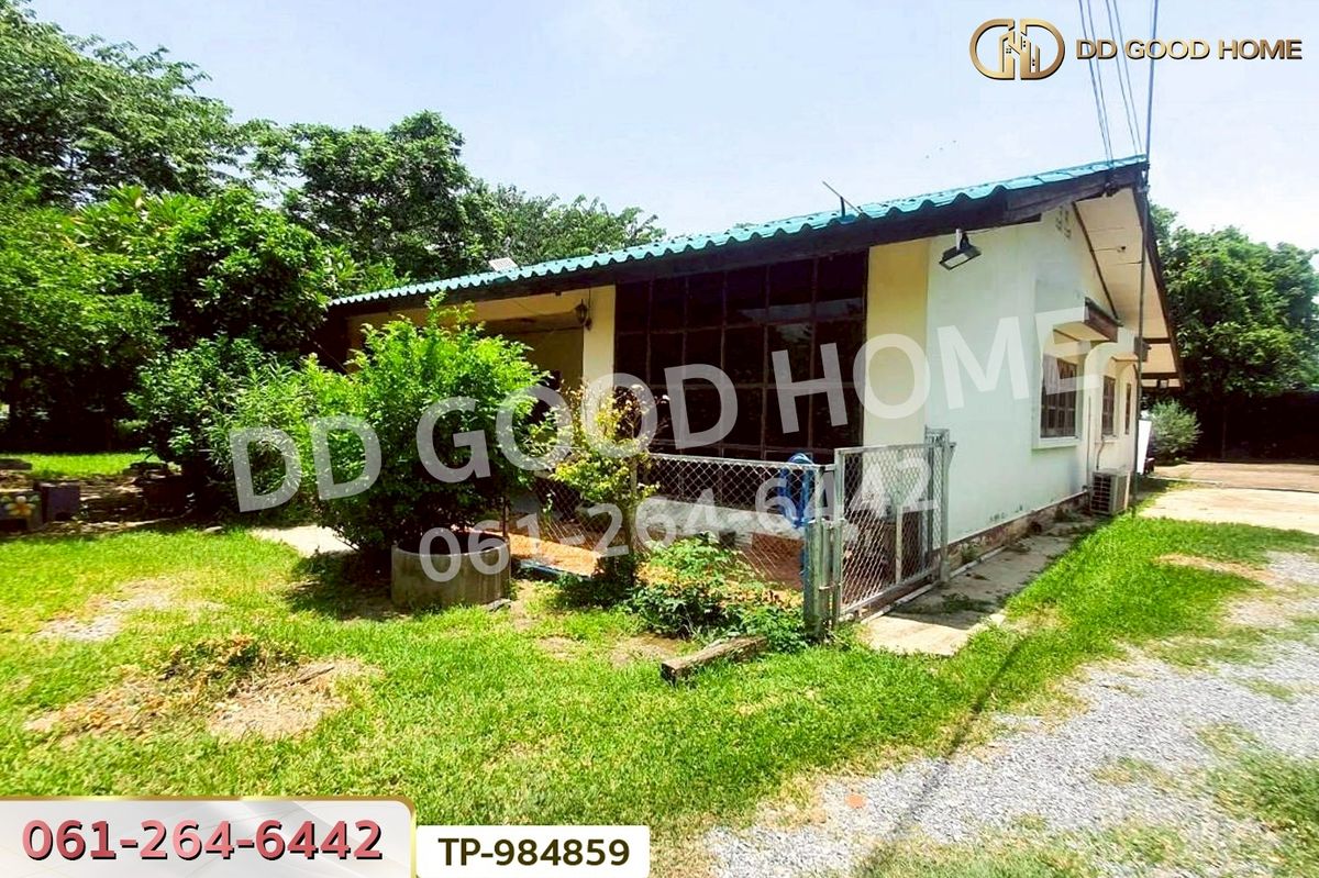 ขายที่ดินสุพรรณบุรี : DD-984859 ที่ดินพร้อมสิ่งปลูกสร้าง 1 ไร่ 60 ตร.ว. ศรีประจันต์ สุพรรณบุรี ใกล้โรงพยาบาลศรีประจันต์