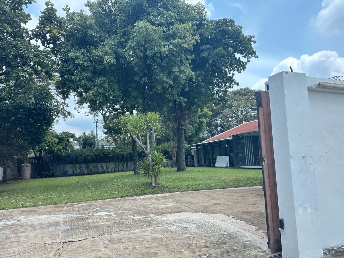 ขายที่ดินเกษตร นวมินทร์ ลาดปลาเค้า : ขานที่ดินขนาด 300 ตาราวา ทำเลซอยนวลจันทร์ 56 รามอินทรา ประดิษฐ์มนูธรรม เหมาะสำหรับทำออฟฟิศหรือที่อยู่อาศัยสถานที่จัดเลี้ยง สถานที่พร้อมใช้