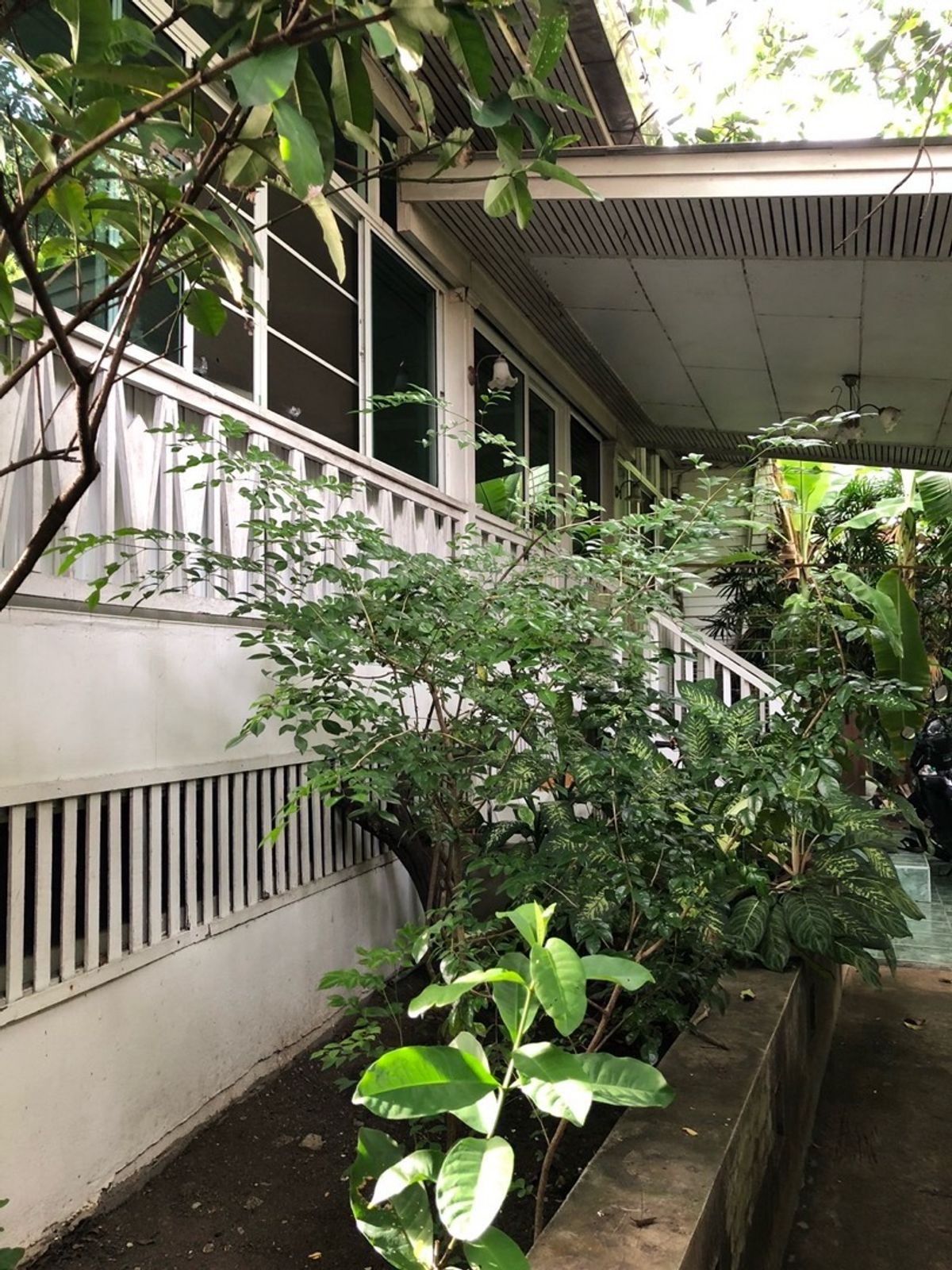 ขายที่ดินพุทธมณฑล ศาลายา : 📢👇ที่ดิน แปลงสวย พร้อมบ้าน 3 หลัง ริมคลองวัดโพธิ์ ต้นไม้ใหญ่บรรยากาศร่มรื่น เงียบสงบ ใกล้แหล่งท่องเที่ยว ตลาดน้ำคลองลัดมะยม และบางระมาด เหมาะพักอาศัย ทำที่พักHome stay ร้านอาหาร ร้านกาแฟ 