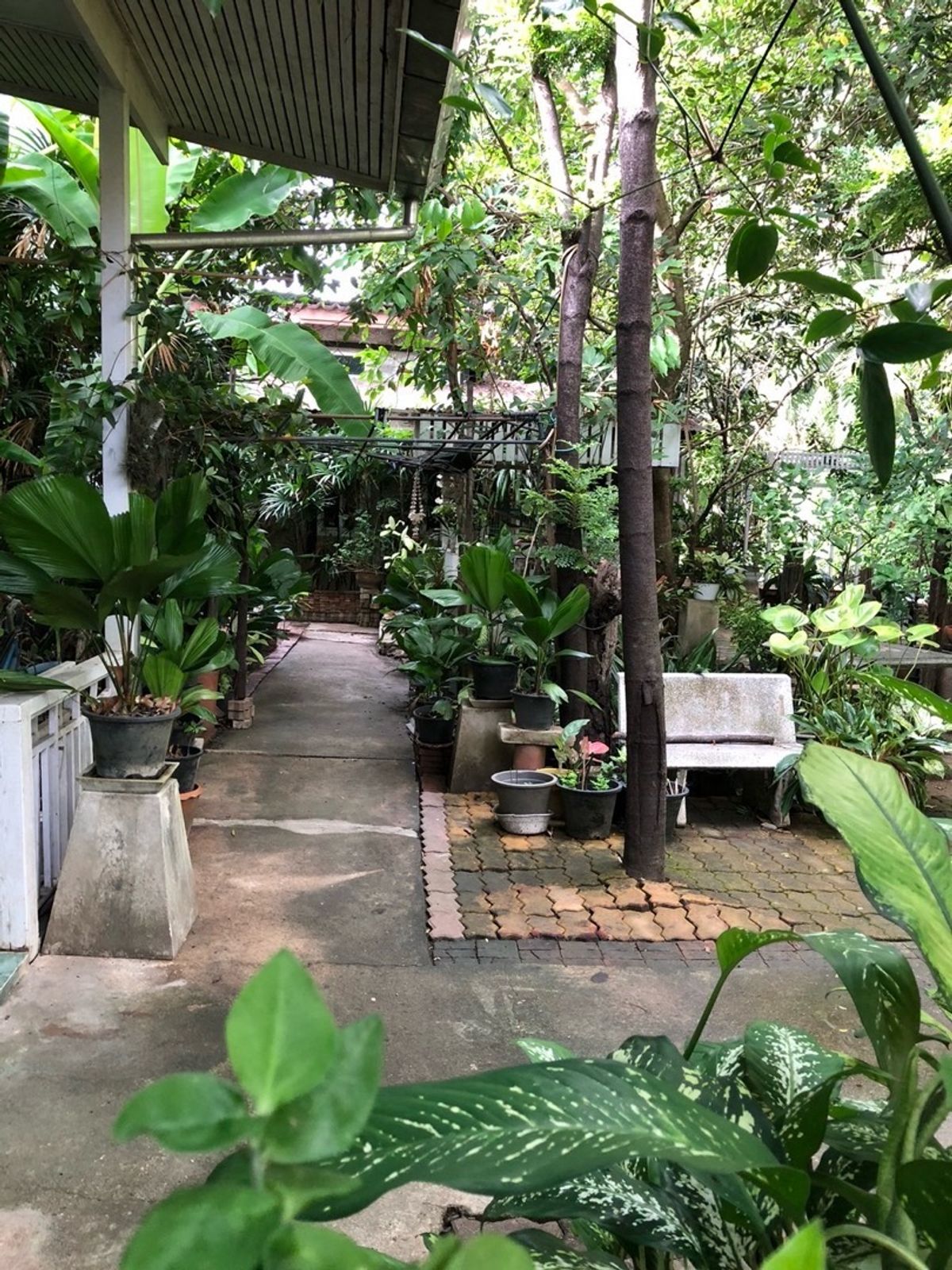 ขายที่ดินพุทธมณฑล ศาลายา : 📢👇ที่ดิน แปลงสวย พร้อมบ้าน 3 หลัง ริมคลองวัดโพธิ์ ต้นไม้ใหญ่บรรยากาศร่มรื่น เงียบสงบ ใกล้แหล่งท่องเที่ยว ตลาดน้ำคลองลัดมะยม และบางระมาด เหมาะพักอาศัย ทำที่พักHome stay ร้านอาหาร ร้านกาแฟ 